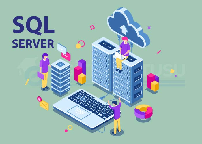 Canlı Online SQL Server Veri Tabanı Programlama Eğitimi