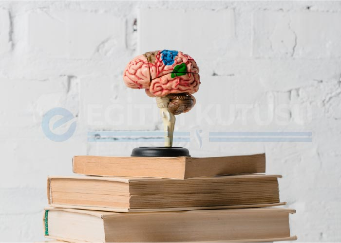 Hafıza Teknikleriyle Hızlı Okuma Eğitmenliği Eğitimi